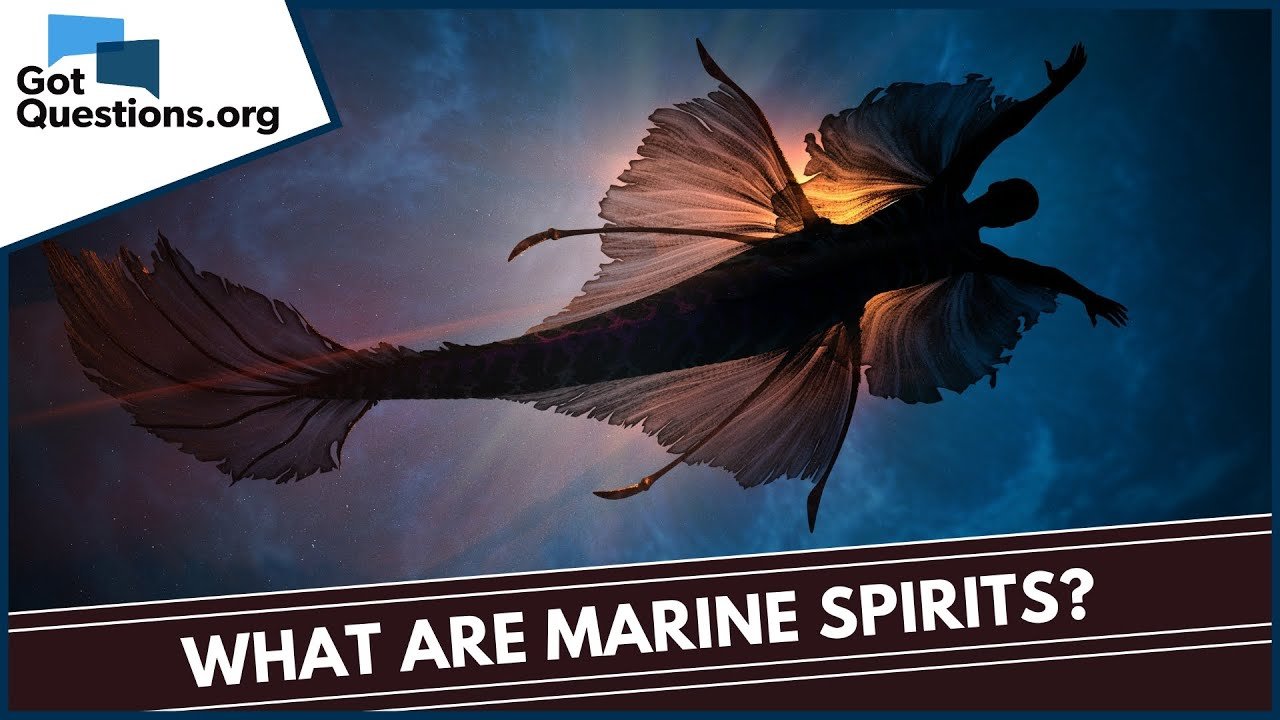Understanding The Enigma Of A Marine Spirit