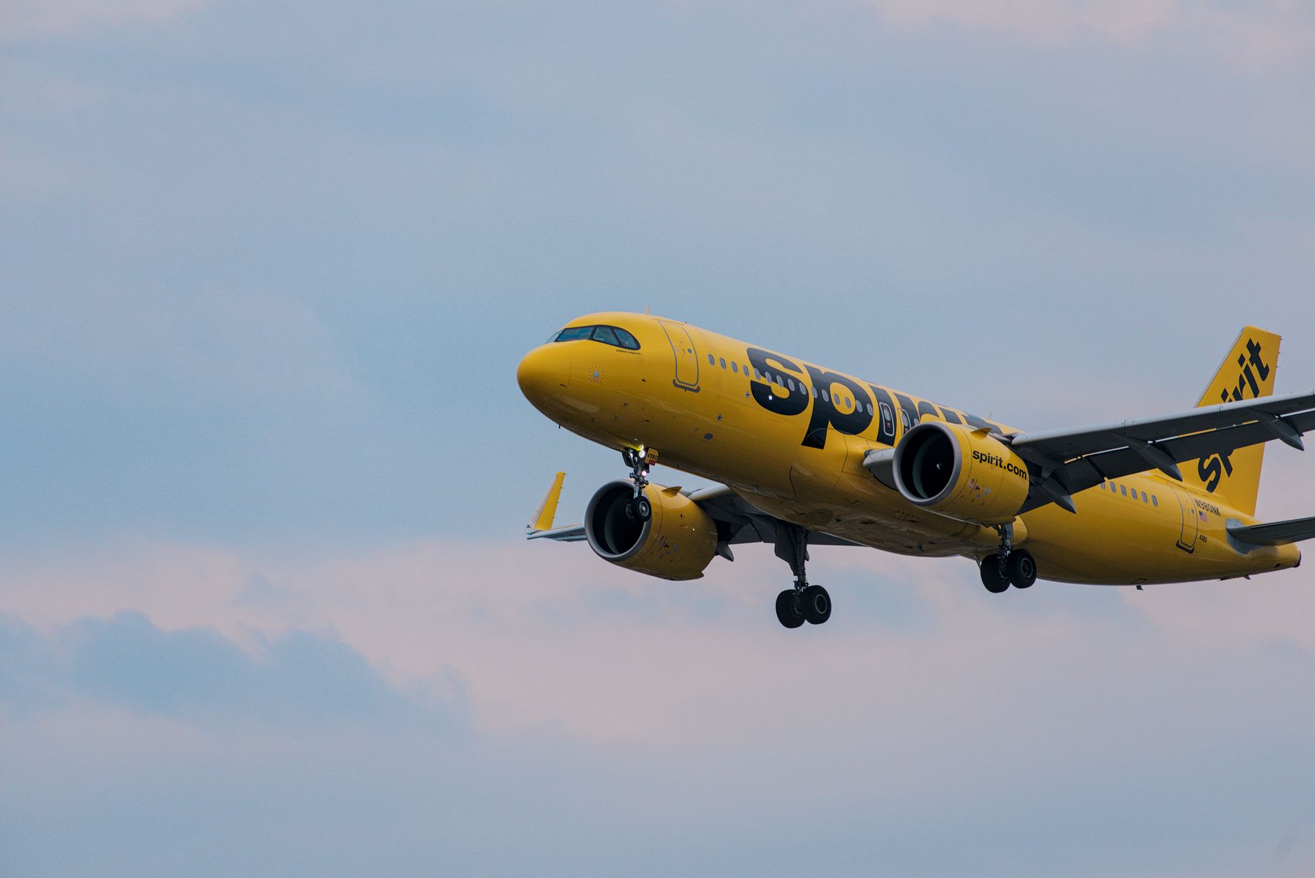 Google Spirit Airlines data: Worst concerns from lawmakers
